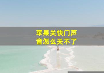 苹果关快门声音怎么关不了