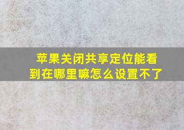 苹果关闭共享定位能看到在哪里嘛怎么设置不了