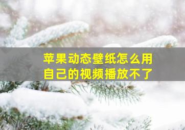 苹果动态壁纸怎么用自己的视频播放不了