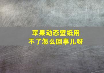 苹果动态壁纸用不了怎么回事儿呀