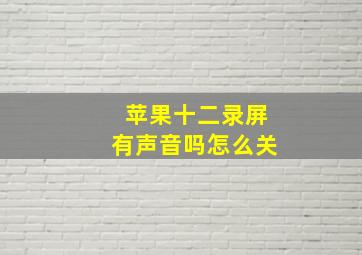 苹果十二录屏有声音吗怎么关