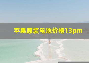 苹果原装电池价格13pm