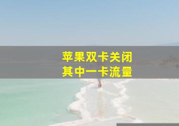 苹果双卡关闭其中一卡流量