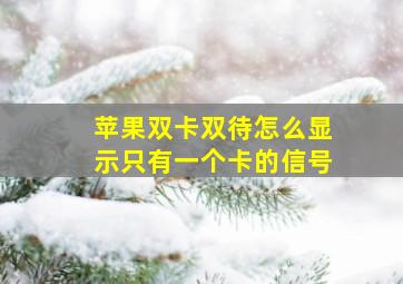 苹果双卡双待怎么显示只有一个卡的信号