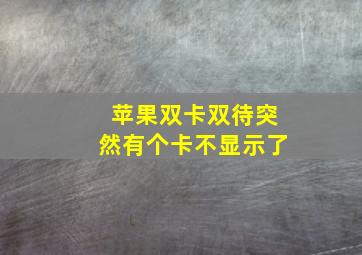 苹果双卡双待突然有个卡不显示了