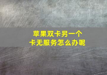 苹果双卡另一个卡无服务怎么办呢