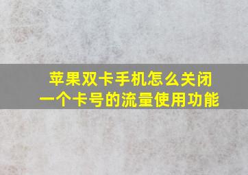 苹果双卡手机怎么关闭一个卡号的流量使用功能