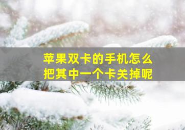 苹果双卡的手机怎么把其中一个卡关掉呢