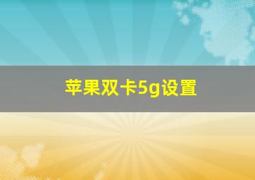 苹果双卡5g设置