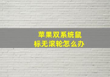 苹果双系统鼠标无滚轮怎么办