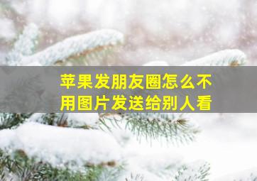 苹果发朋友圈怎么不用图片发送给别人看