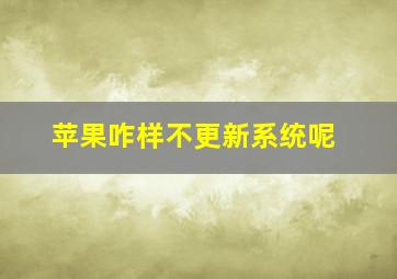 苹果咋样不更新系统呢