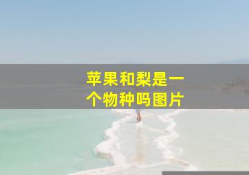 苹果和梨是一个物种吗图片