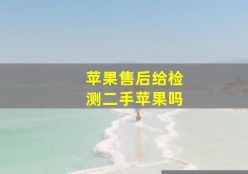 苹果售后给检测二手苹果吗