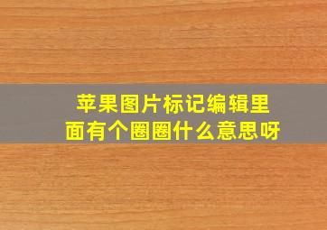 苹果图片标记编辑里面有个圈圈什么意思呀