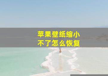 苹果壁纸缩小不了怎么恢复