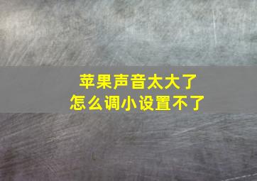 苹果声音太大了怎么调小设置不了