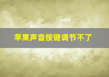 苹果声音按键调节不了