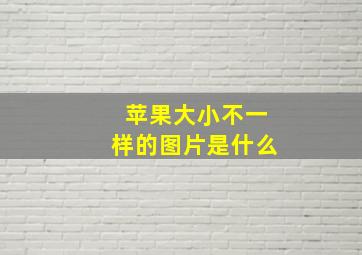 苹果大小不一样的图片是什么