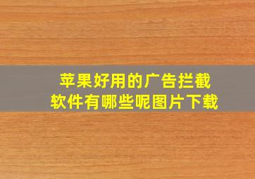 苹果好用的广告拦截软件有哪些呢图片下载