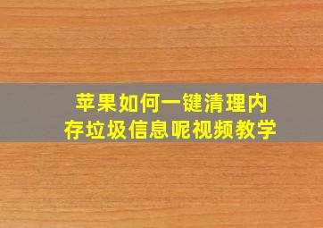 苹果如何一键清理内存垃圾信息呢视频教学