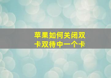 苹果如何关闭双卡双待中一个卡