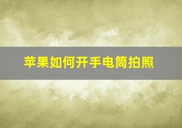 苹果如何开手电筒拍照