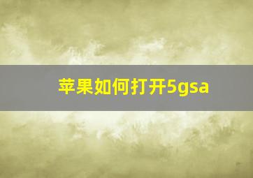 苹果如何打开5gsa