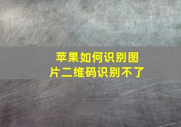 苹果如何识别图片二维码识别不了