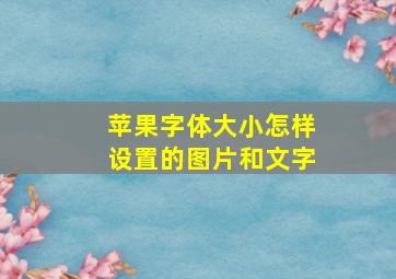 苹果字体大小怎样设置的图片和文字