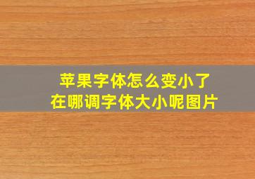 苹果字体怎么变小了在哪调字体大小呢图片