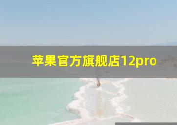 苹果官方旗舰店12pro