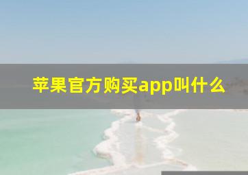 苹果官方购买app叫什么