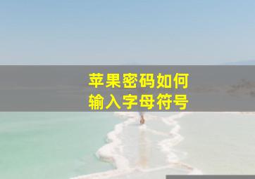 苹果密码如何输入字母符号