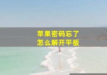 苹果密码忘了怎么解开平板