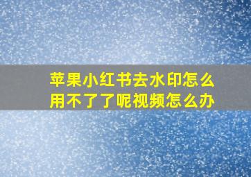 苹果小红书去水印怎么用不了了呢视频怎么办