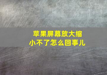 苹果屏幕放大缩小不了怎么回事儿