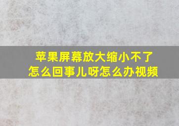 苹果屏幕放大缩小不了怎么回事儿呀怎么办视频