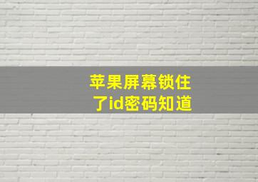 苹果屏幕锁住了id密码知道