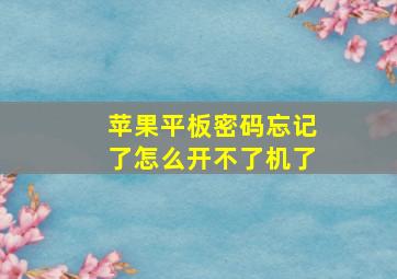 苹果平板密码忘记了怎么开不了机了