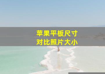 苹果平板尺寸对比照片大小