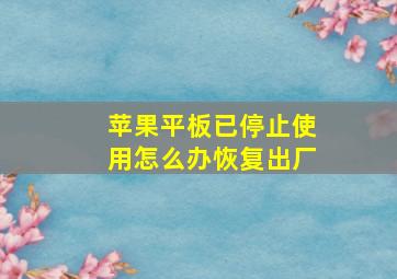 苹果平板已停止使用怎么办恢复出厂