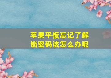 苹果平板忘记了解锁密码该怎么办呢