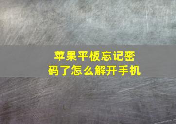 苹果平板忘记密码了怎么解开手机