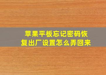 苹果平板忘记密码恢复出厂设置怎么弄回来