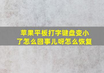 苹果平板打字键盘变小了怎么回事儿呀怎么恢复