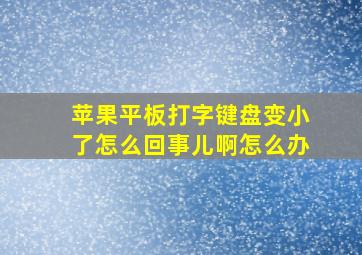 苹果平板打字键盘变小了怎么回事儿啊怎么办