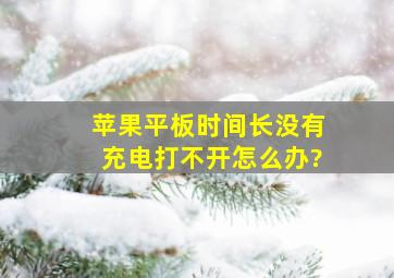 苹果平板时间长没有充电打不开怎么办?