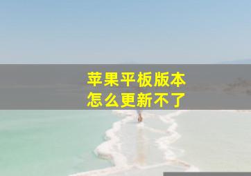 苹果平板版本怎么更新不了