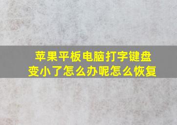 苹果平板电脑打字键盘变小了怎么办呢怎么恢复